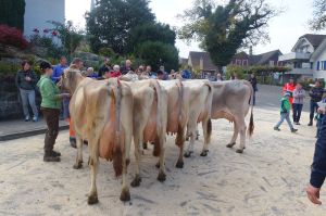 k-5Schneuter jngere von rechts nach links